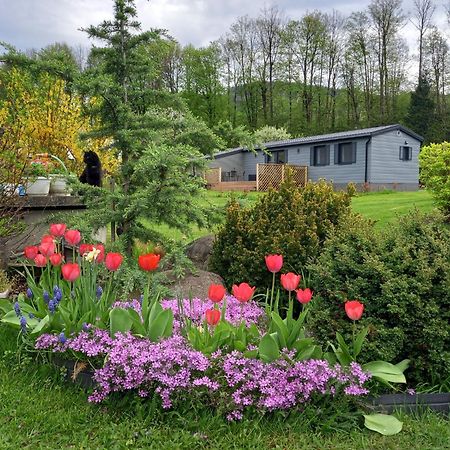 Chata Idylka - Nova Chata Se Zahradou Loučná nad Desnou Esterno foto