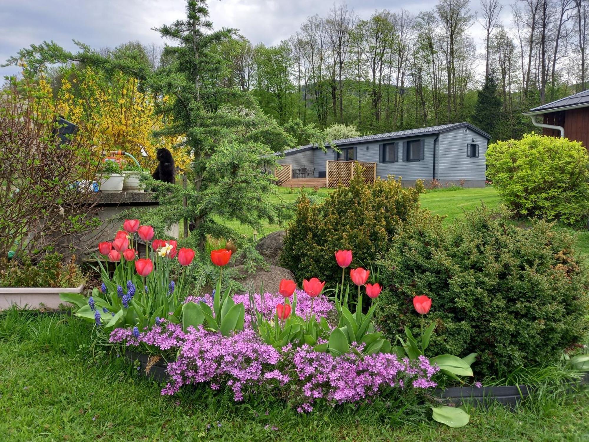 Chata Idylka - Nova Chata Se Zahradou Loučná nad Desnou Esterno foto